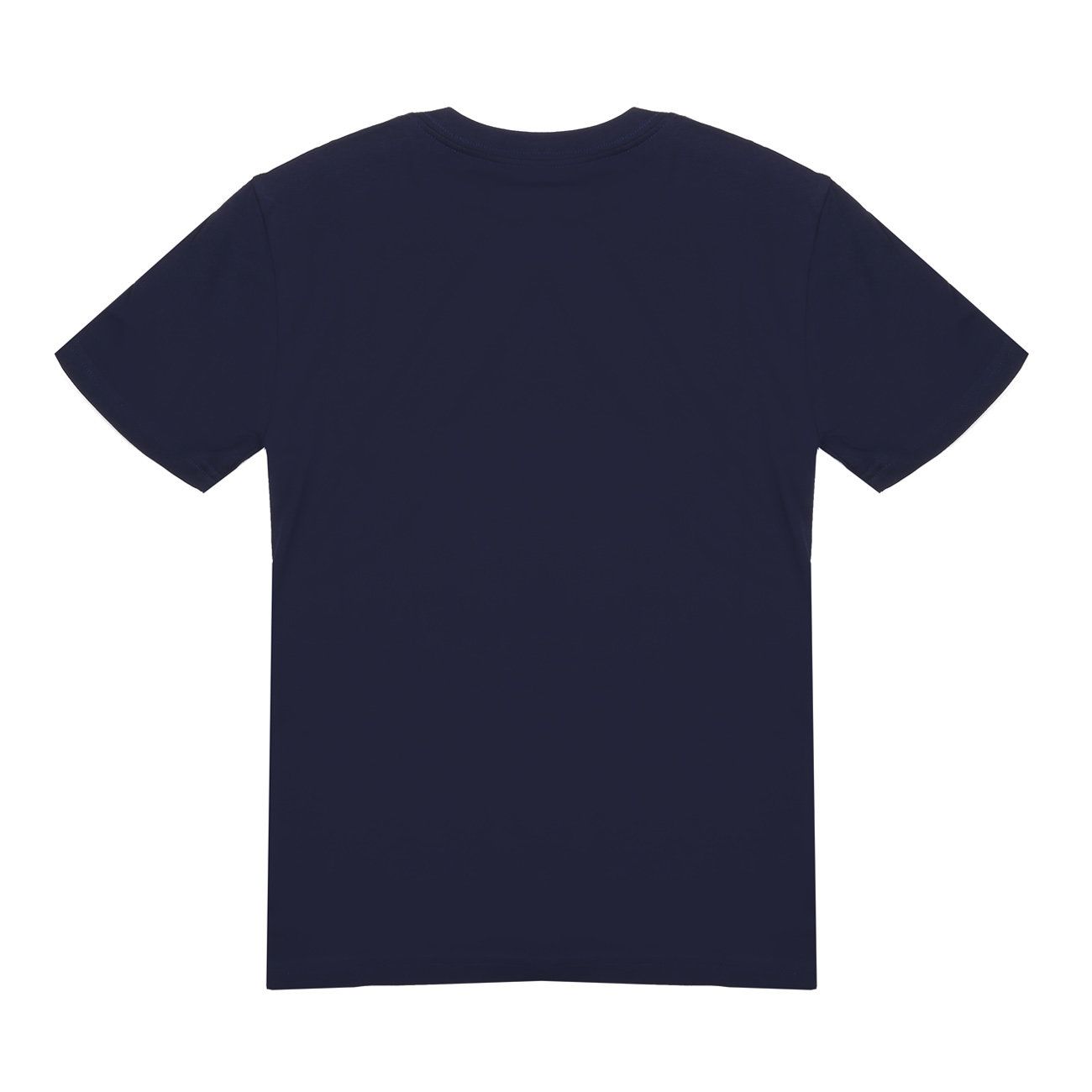 POLO RALPH LAUREN T-Shirt Mezza Manica Con Stampa Logo Bambino Blu 323795487 001 BLU 
