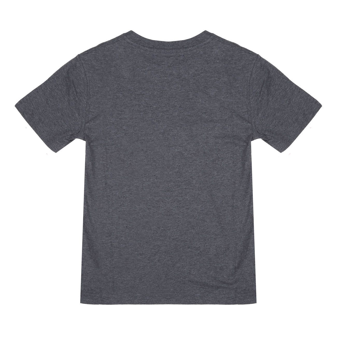 POLO RALPH LAUREN T-Shirt Mezza Manica Con Stampa Logo Bambino Grigio 323795487 009 GRIGIO 