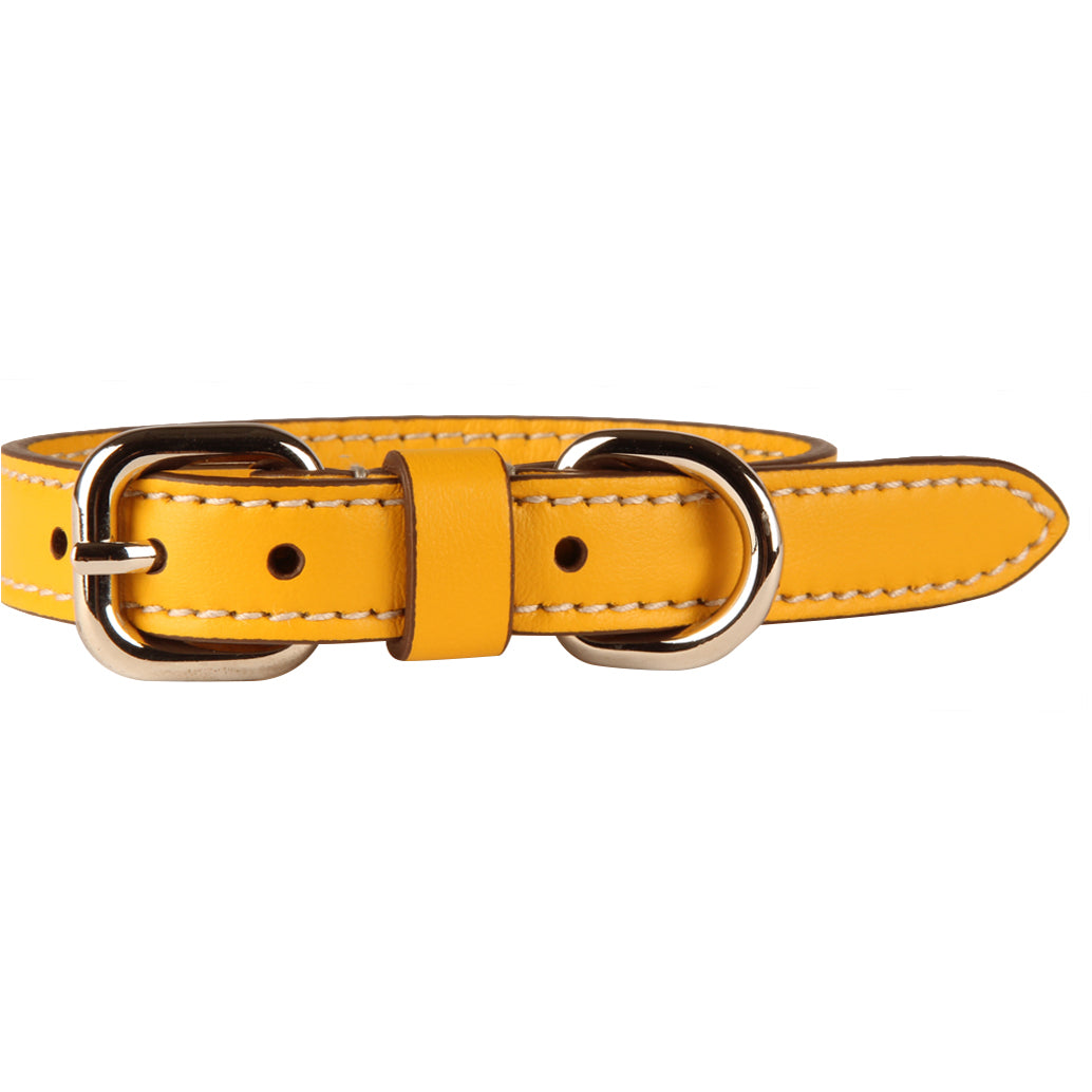 CARLOTTA PALERMO Collare M In Pelle Pet Giallo CPALERMO/COLLAREM GIALLO 
