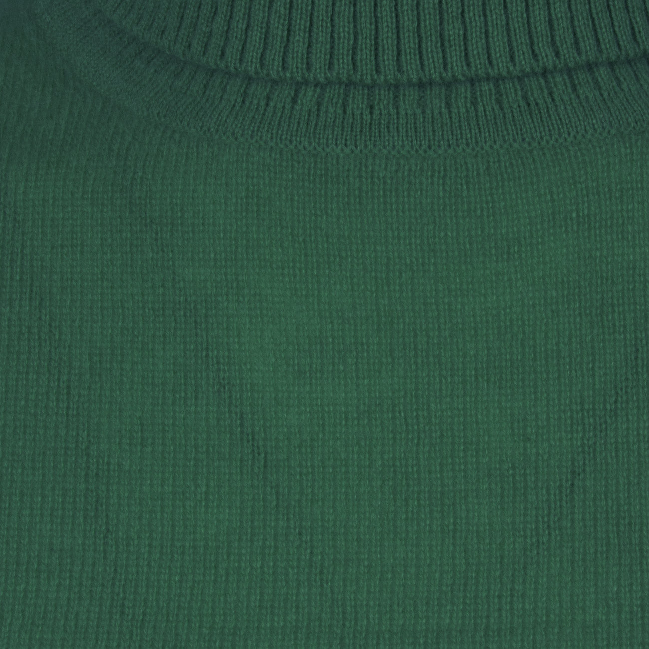 ABSOLUT CASHMERE Dolcevita Ninon Donna Basilic AC162021C BASILIC 