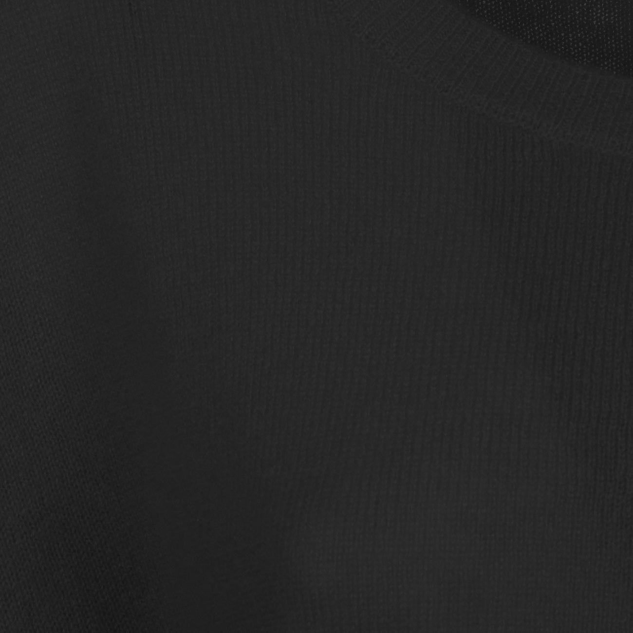 ABSOLUT CASHMERE Pullover Astrid Donna Noir AC162025C NOIR 