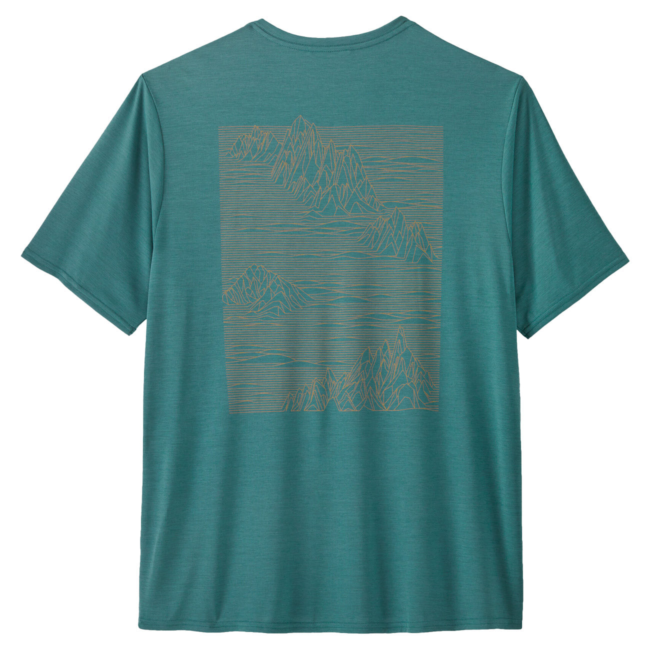 PATAGONIA Maglietta Capilene Cool Daily 45235 WETLAND BLUE 