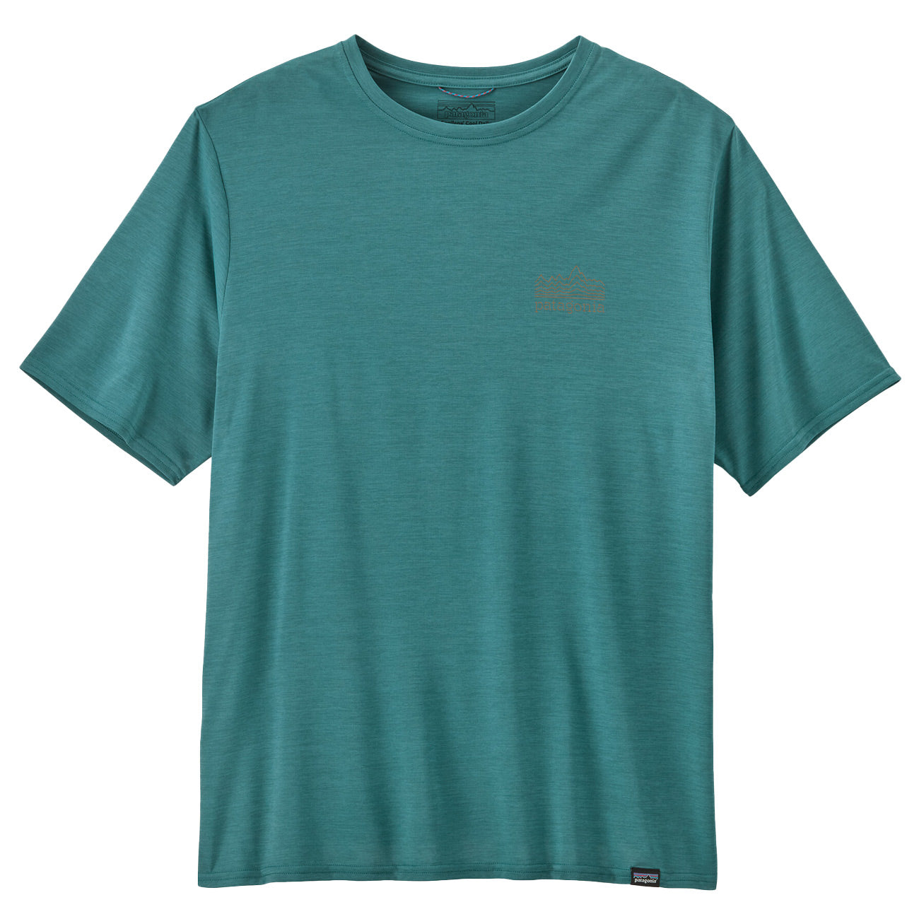 PATAGONIA Maglietta Capilene Cool Daily 45235 WETLAND BLUE 