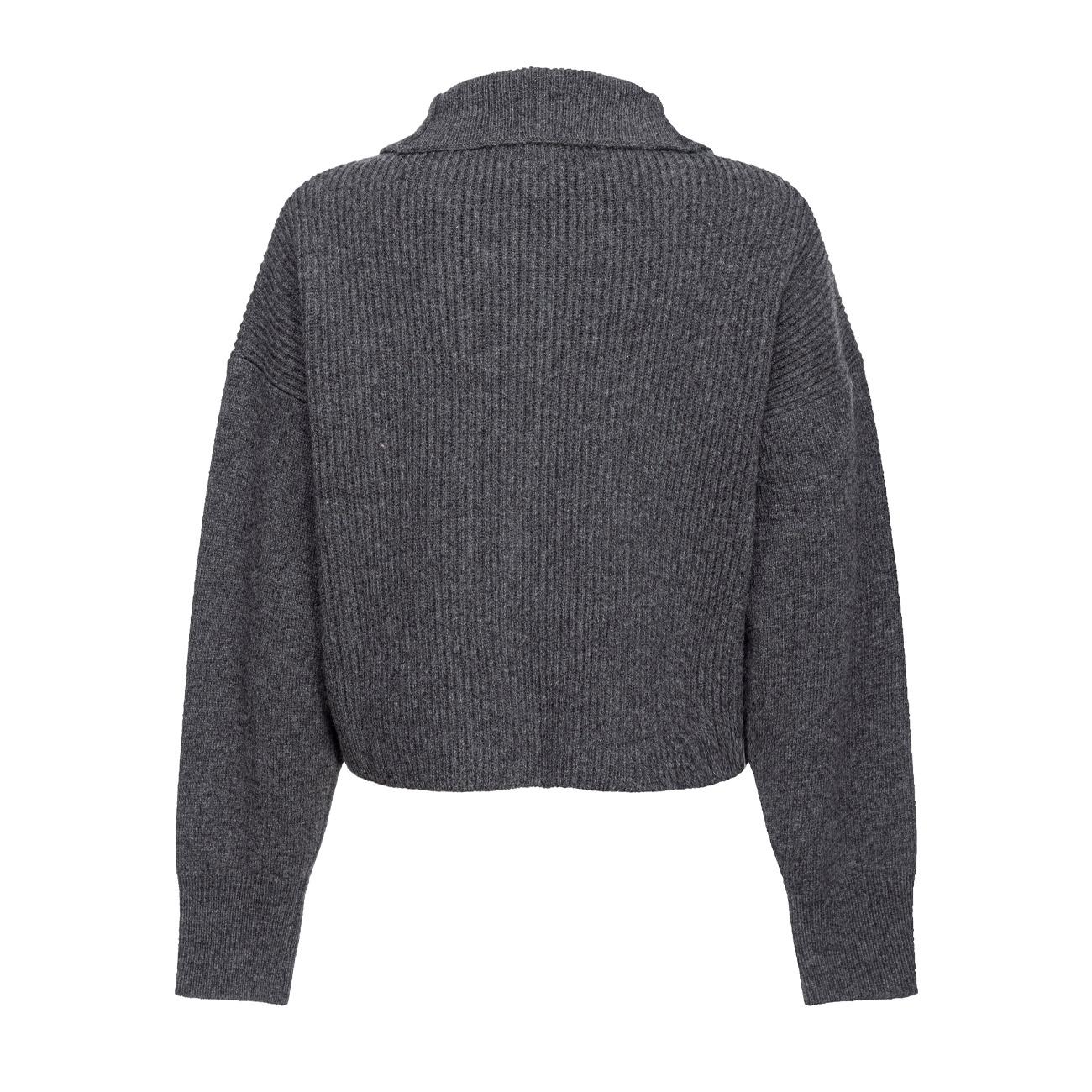 Maglia Caveau Donna Grigio Corvo 104061/A1CH I76 GRIGIO CORVO PINKO 