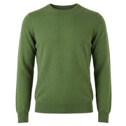 Maglia Girocollo In Lana 19699/55159 450 VERDE LA FILERIA 