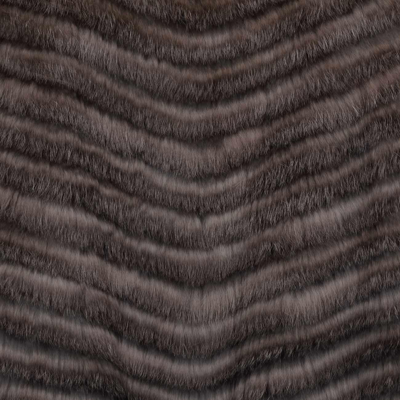  9008 1421 TORTORA BULLY 