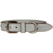 Collare M In Pelle Pet Cielo Azzurro CPALERMO/COLLAREM CIELO.AZZURRO CARLOTTA PALERMO 